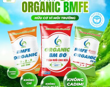 ORGANIC BMFE – ដំណោះស្រាយជាតិជះអាហារធម្មជាតិ ប្រកបដោយសុវត្ថិភាព គ្មានលោហធាតុធ្ងន់
