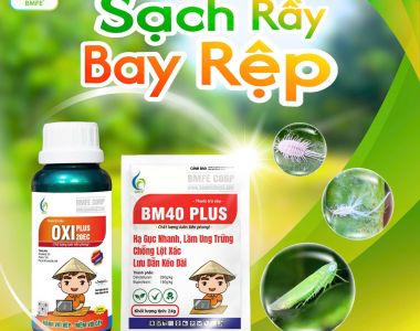 កម្ចាត់សត្វល្អិត និងសត្វជាំនៅរដូវវស្សាឱ្យមានប្រសិទ្ធភាព ជាមួយ Oxi Plus 20EC និង BM40 Plus ពីក្រុមហ៊ុន BMFE CORP