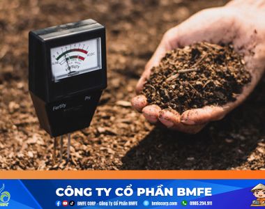 Kỹ Thuật Quản Lý pH Đất: Bí Quyết Cải Tạo Đất Phèn Nâng Cao Năng Suất