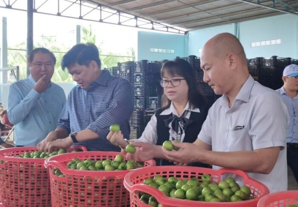 Bao tiêu lượng nho và táo lớn nhất Ninh Thuận