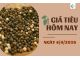 Giá tiêu hôm nay 04/04/2026: Biến động nhẹ và giải pháp phục hồi vườn tiêu cùng BMFE CORP