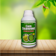Cazn Seaweed (500ml)