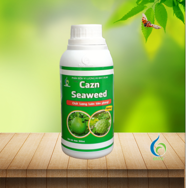 Cazn Seaweed BMFE 500ml