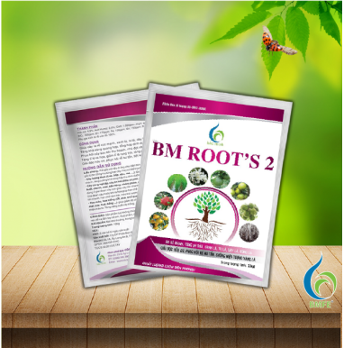 BMFE - BM ROOT’S 2 – 1kg (Phân bón vi lượng AV-BM1-HUMI)