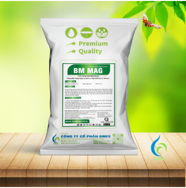 BMFE