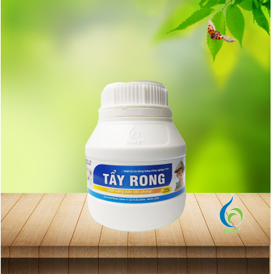 TẨY RONG – Giải pháp làm sạch rong rêu hiệu quả