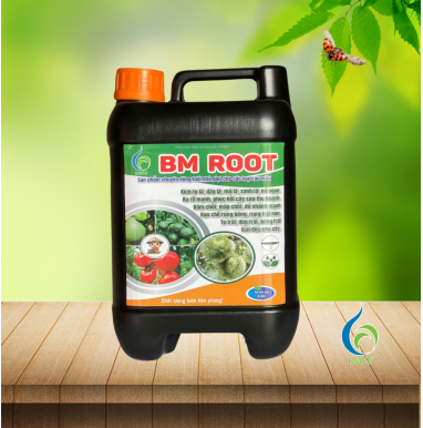 BM Root 5 lít | To trái, Đẹp Trái, Xanh lá