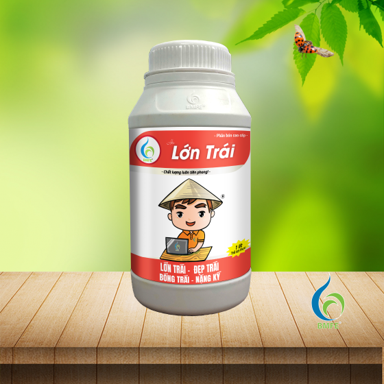 Lớn Trái Calful 1 lít (LỚN TRÁI - ĐẸP TRÁI BÓNG TRÁI - NẶNG KÝ)