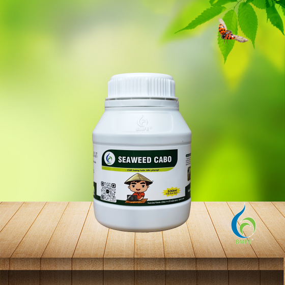 SEAWEED CABO – Chiết Xuất Rong Biển Giúp Cây Khỏe Rễ, Bung Đọt, Tăng Đậu Trái Bền Vững