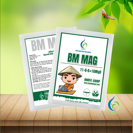 BM MAG 1KG (Magnisal) | Chống hiện tượng vàng lá